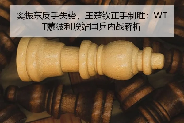樊振东反手失势，王楚钦正手制胜：WTT蒙彼利埃站国乒内战解析